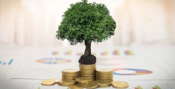 Rendimento Investimenti Cosa E