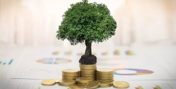 Rendimento di un investimento: cos