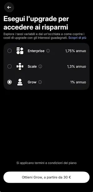Revolut Business interessi